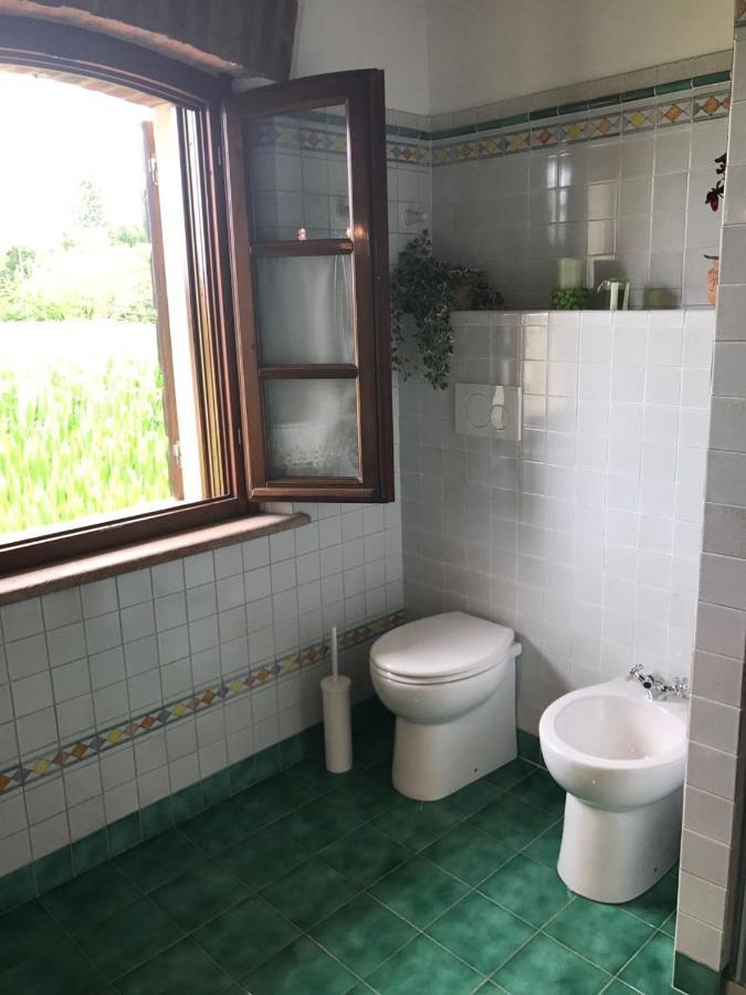 Bagnolo San Vito B&B Il Martin Pescatore المظهر الخارجي الصورة
