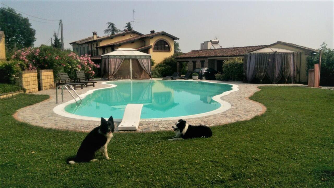 Bagnolo San Vito B&B Il Martin Pescatore المظهر الخارجي الصورة
