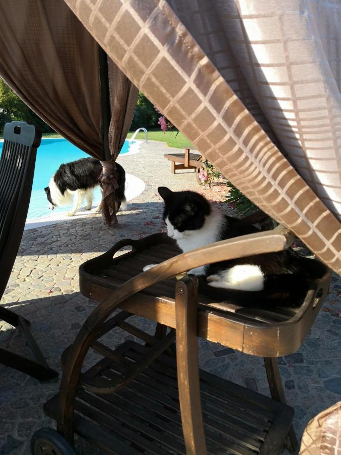 Bagnolo San Vito B&B Il Martin Pescatore المظهر الخارجي الصورة